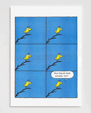 RFI-Risodruck (DinA3) Bird von Nadine Redlich