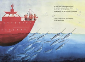 Auf der Suche nach der geheimnisvollen Riesenqualle