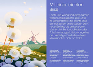 Samen - Die faszinierende Reise der Pflanzensamen