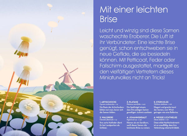 Samen - Die faszinierende Reise der Pflanzensamen