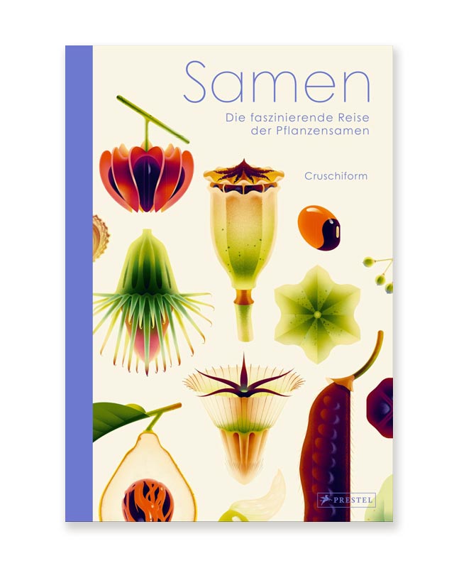Samen - Die faszinierende Reise der Pflanzensamen