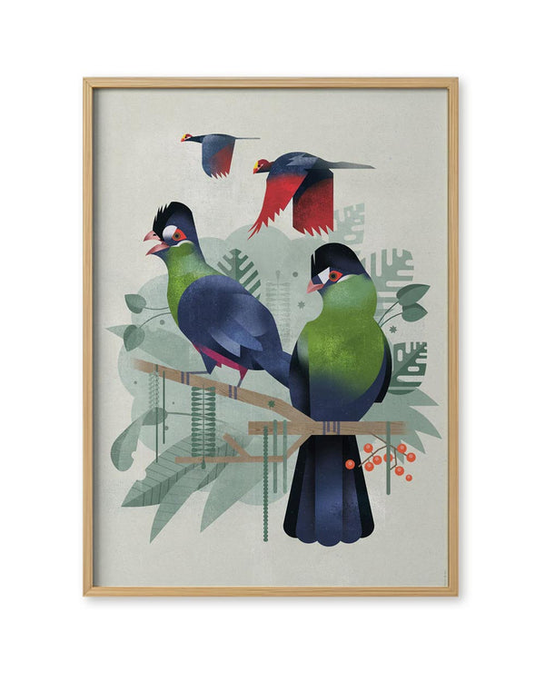 Seidenturako Poster (50 x 70cm) zeigt tropische Vögel auf einem Ast, umgeben von stilisierten Blättern, gestaltet von Dieter Braun.