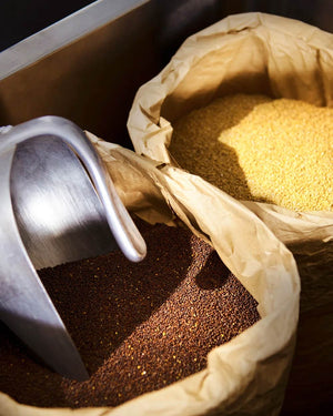 Pfeffriger Peter: Senf mit grünen Pfefferkörnern