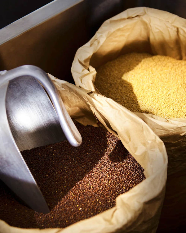 Pfeffriger Peter: Senf mit grünen Pfefferkörnern