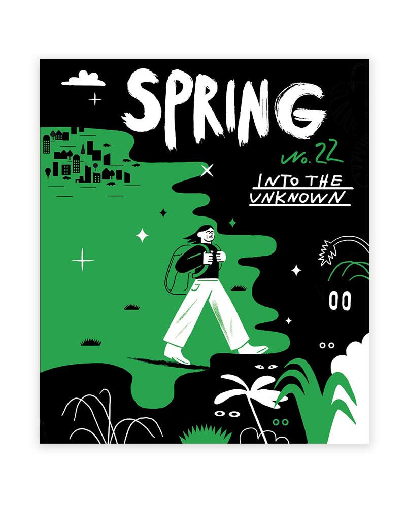 Spring No. 22 - Into The Unknown