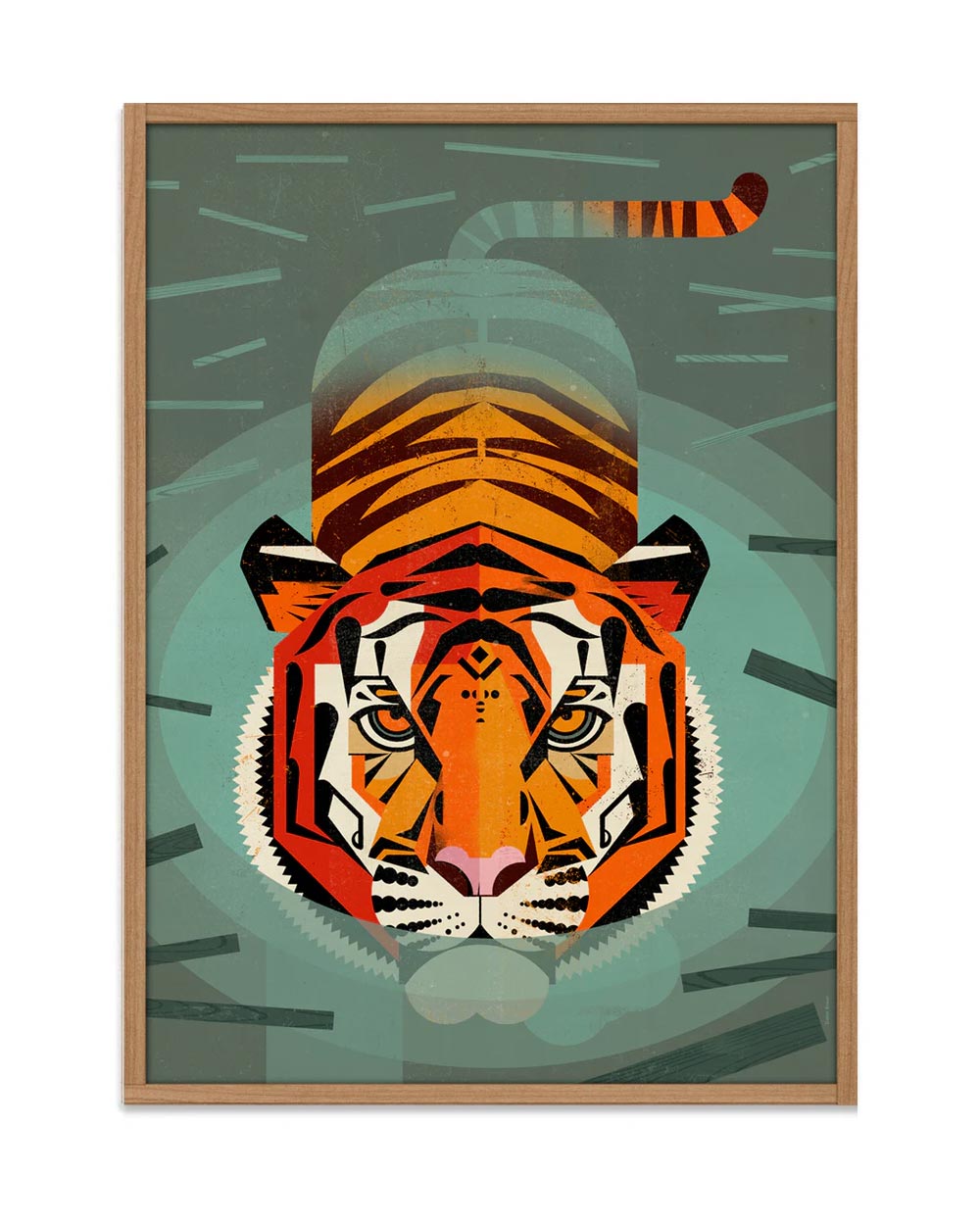 Dieter Braun Swimming Tiger Poster (50x70cm)