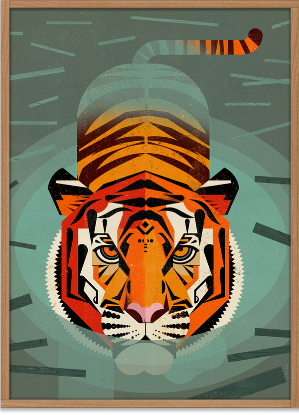 Swimming Tiger Poster (50 x 70 cm)