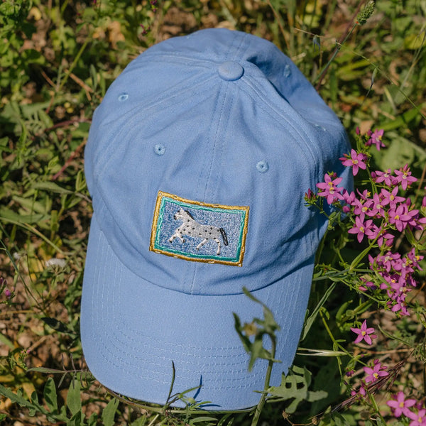 Tarta Gelatina - Little Horse Cap Washed Blue