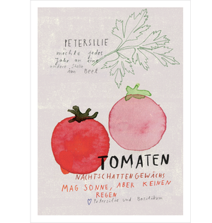 Tomate Postkarte A6