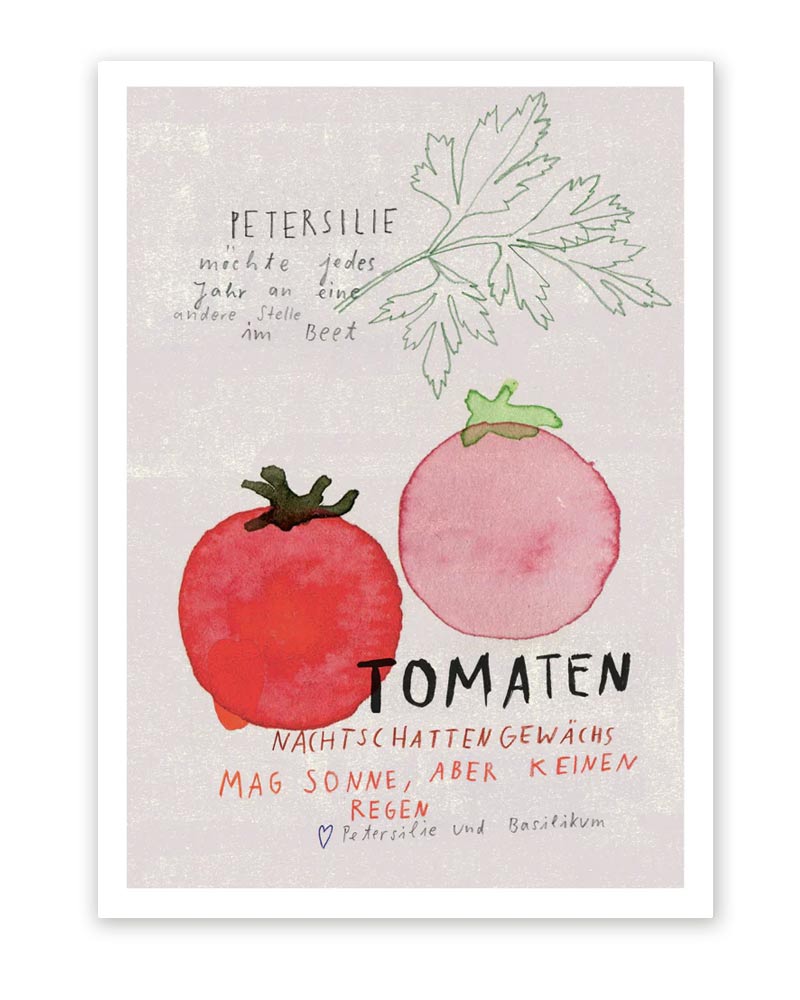 Tomate Postkarte A6