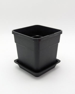 Art Pot Lilac Red Dot - Unikat