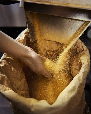 Vom Walde komm ich her: Senf mit Apfel, Mandelkern & Tannenspitzen