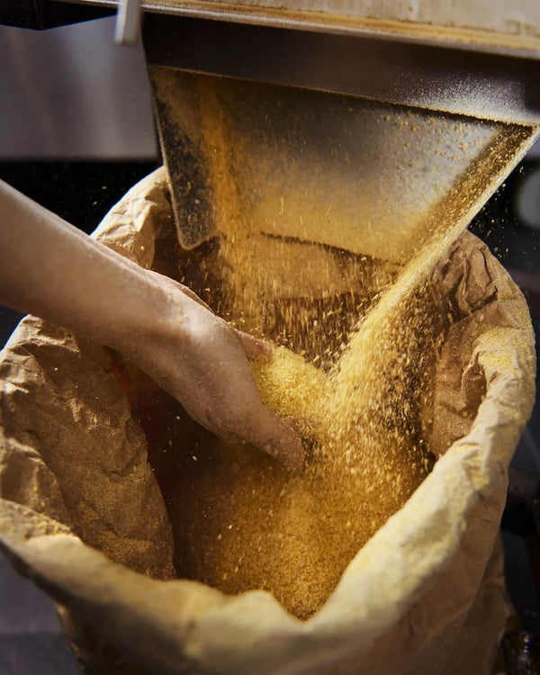Vom Walde komm ich her: Senf mit Apfel, Mandelkern & Tannenspitzen