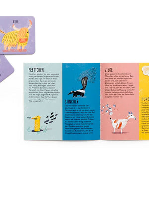 Wer hat gepupst? - Memo: Set aus illustrierten Karten über stinkende Tiere, darunter Kuh, Frettchen und Stinktier, mit humorvollen Fakten über ihre Gerüche.