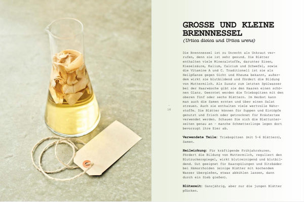Wildpflanzen essen
