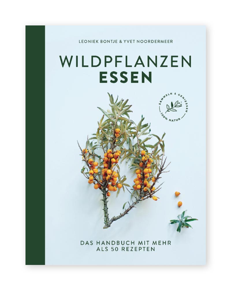 Wildpflanzen essen