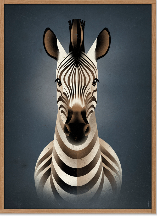 Zebra Poster (50x70cm)