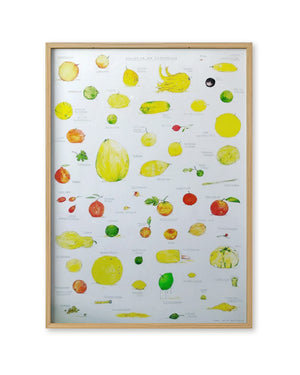 Bestiarium der Zitrusfrüchte Poster (Din A2)