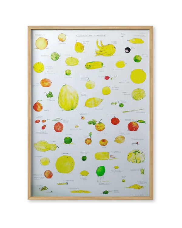 Bestiarium der Zitrusfrüchte Poster (Din A2)