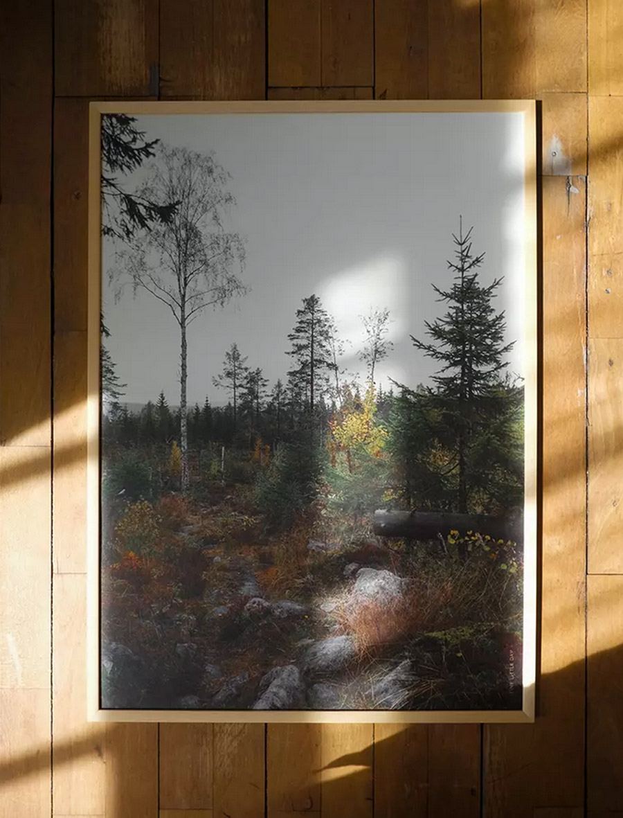 Norrland Poster (50 x 70cm)