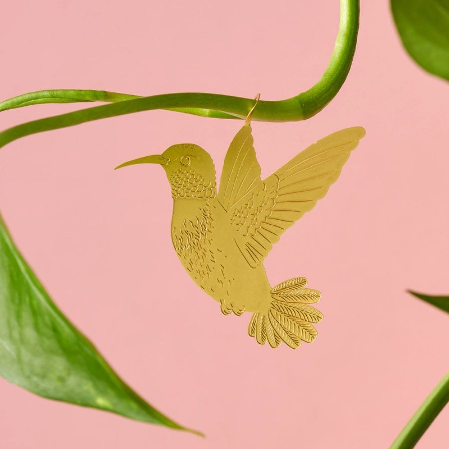 Plant Animal Kolibri
