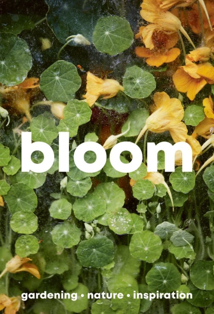 Bloom Issue 15