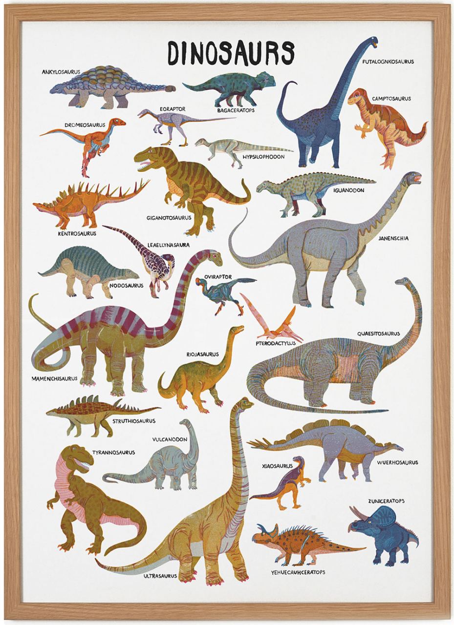 Dinosaurs Poster by Barbara Dziadosz (50 x 70 cm)
