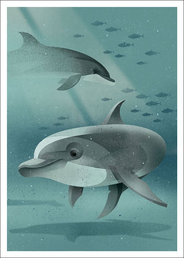 Bottlenose Dolphin Postkarte