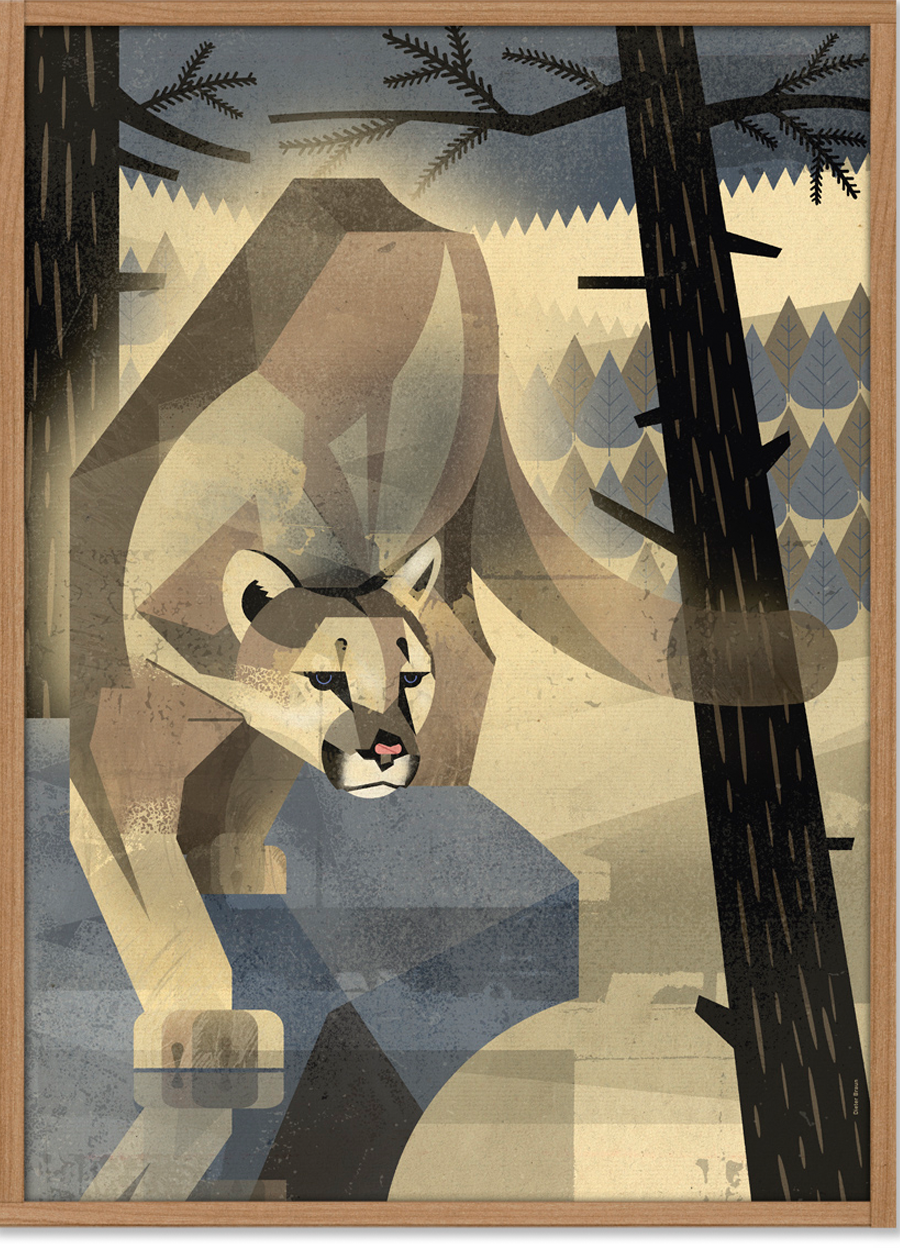 Mountain Lion Poster (50 x 70 cm)