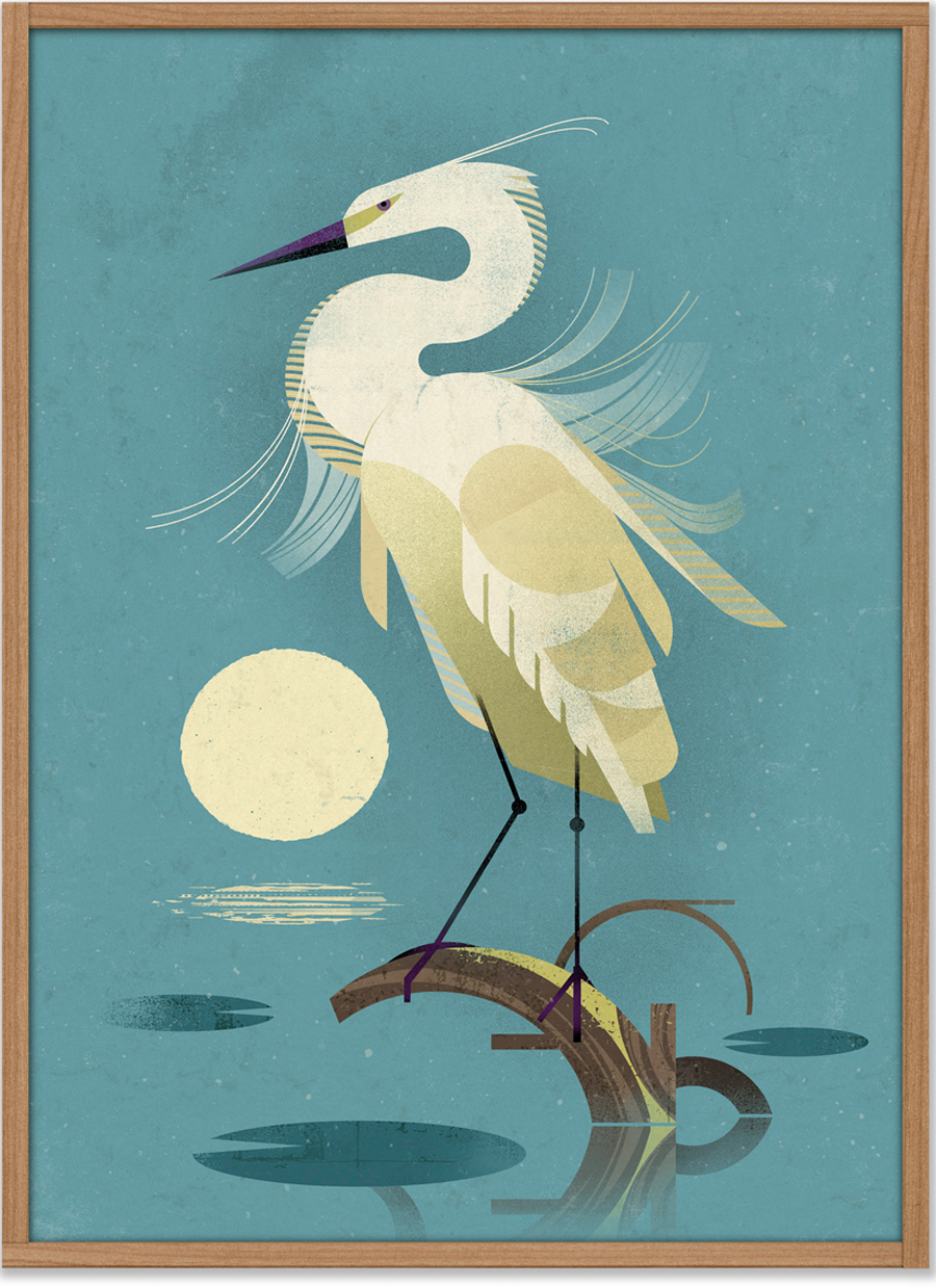 Little Egret Poster (50 x 70 cm)