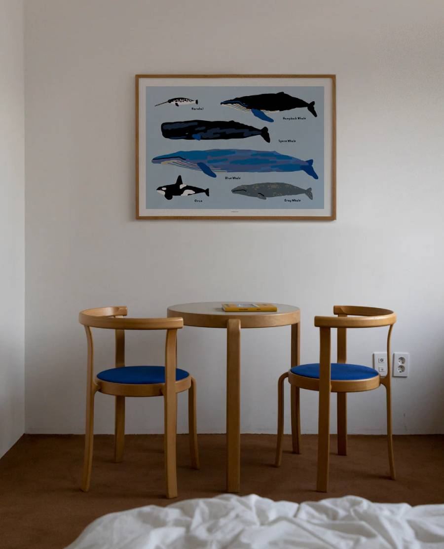 Whales Poster (30x40cm)