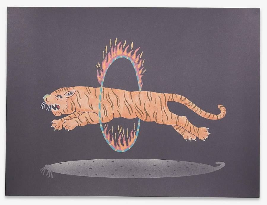 Amazing Tiger Poster (50x70cm)
