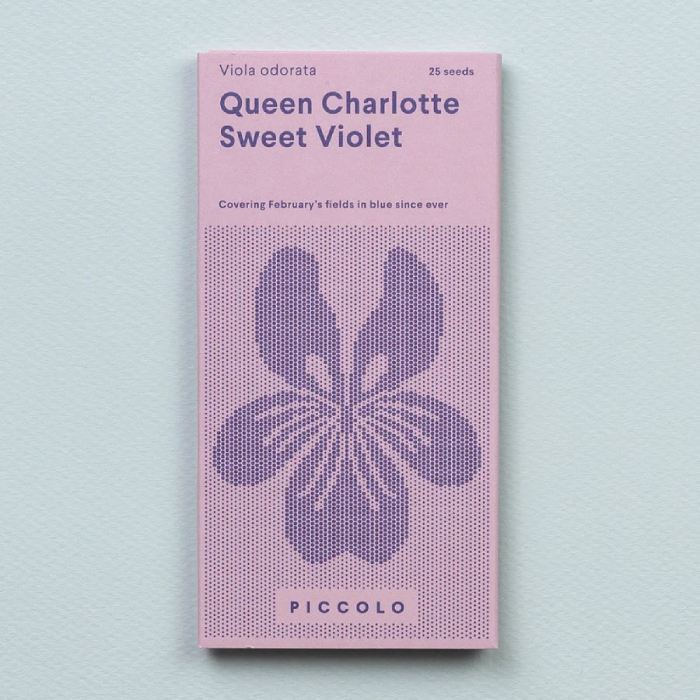 Süße Veilchenkönigin Charlotte Saatgut
