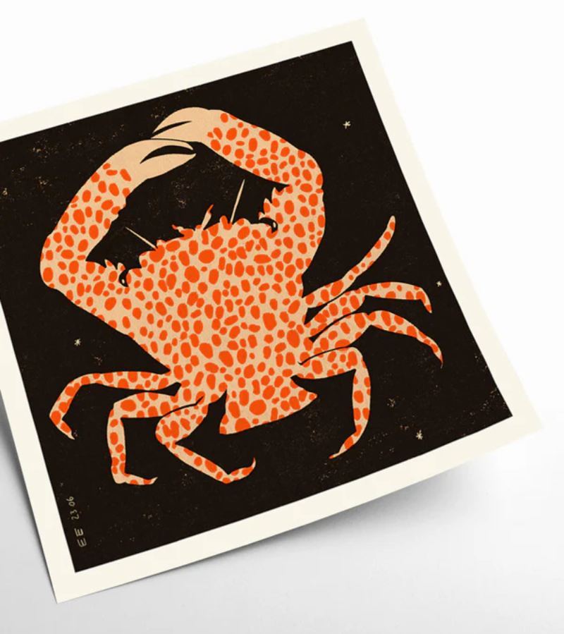 Spotted Calico Crab Poster (50x50cm)