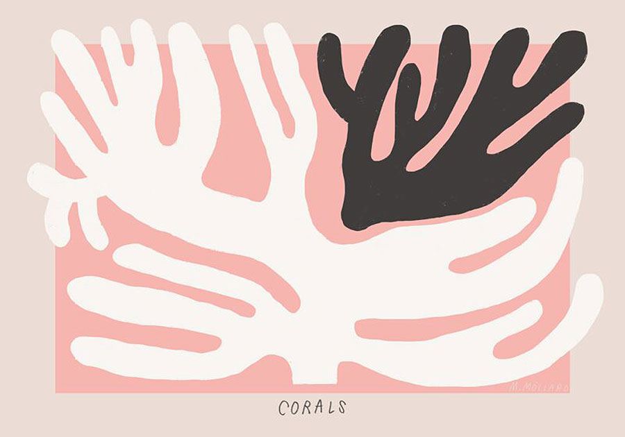Black and White Coral Poster (50x70cm)