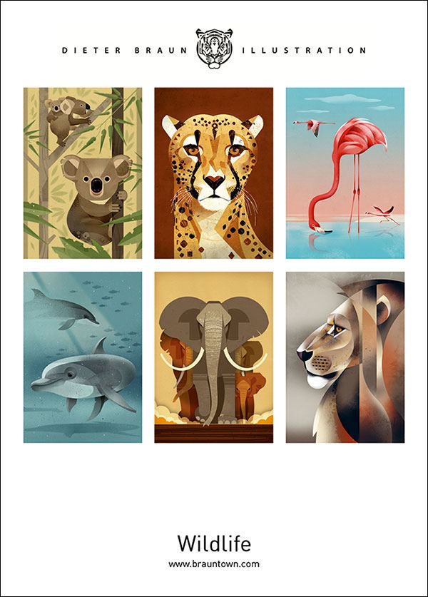 Wildlife 2 Postkartenset