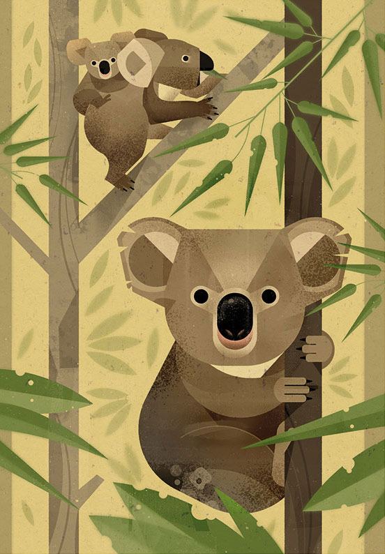 Koala Poster (50x70cm)