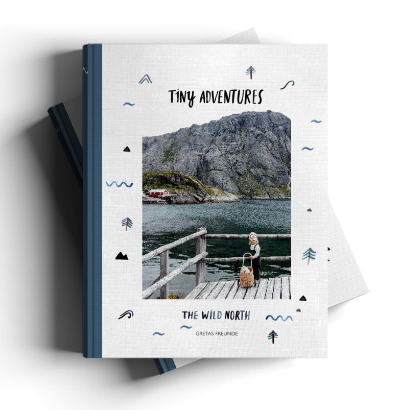 Tiny Adventures - The Wild North