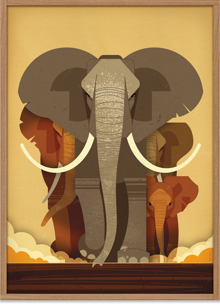 Elephant Poster (50x70cm)
