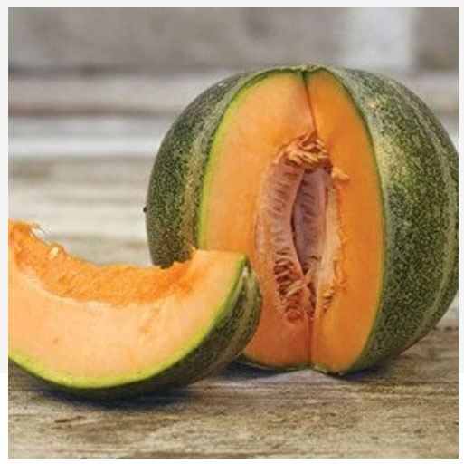 Melon Petit Gris De Rennes Saatgut