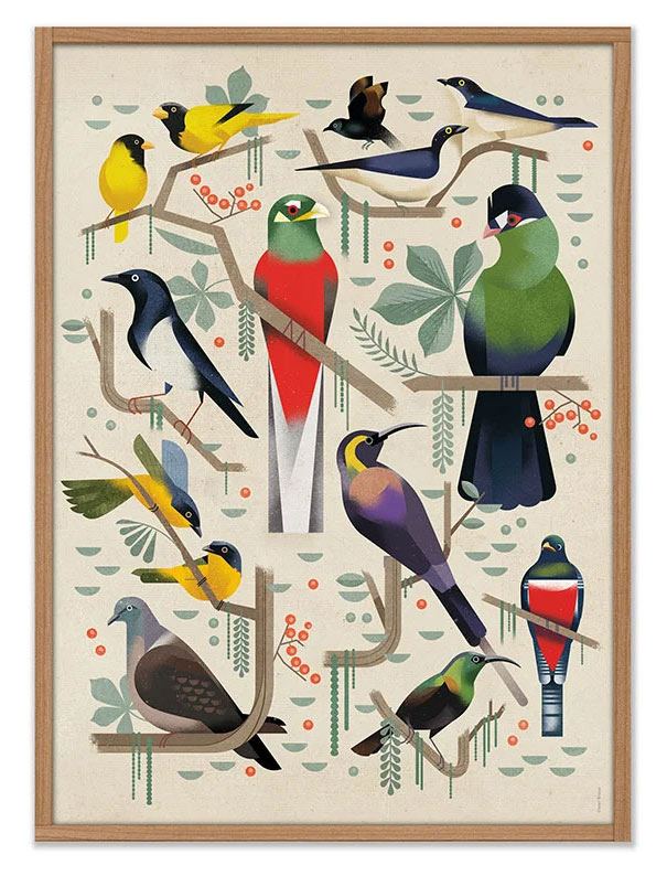 Birds Poster (50x70cm)