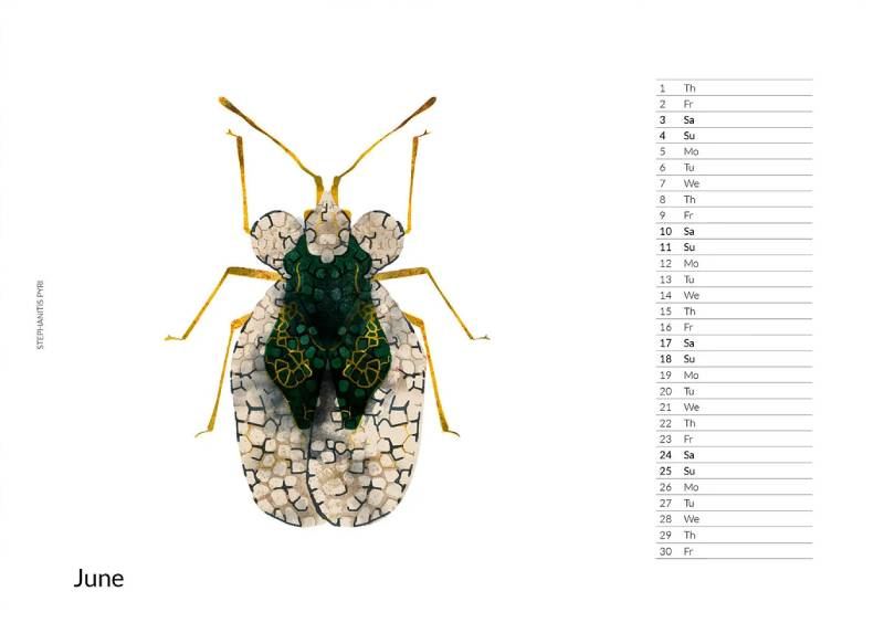 2023 Bugs Calendar